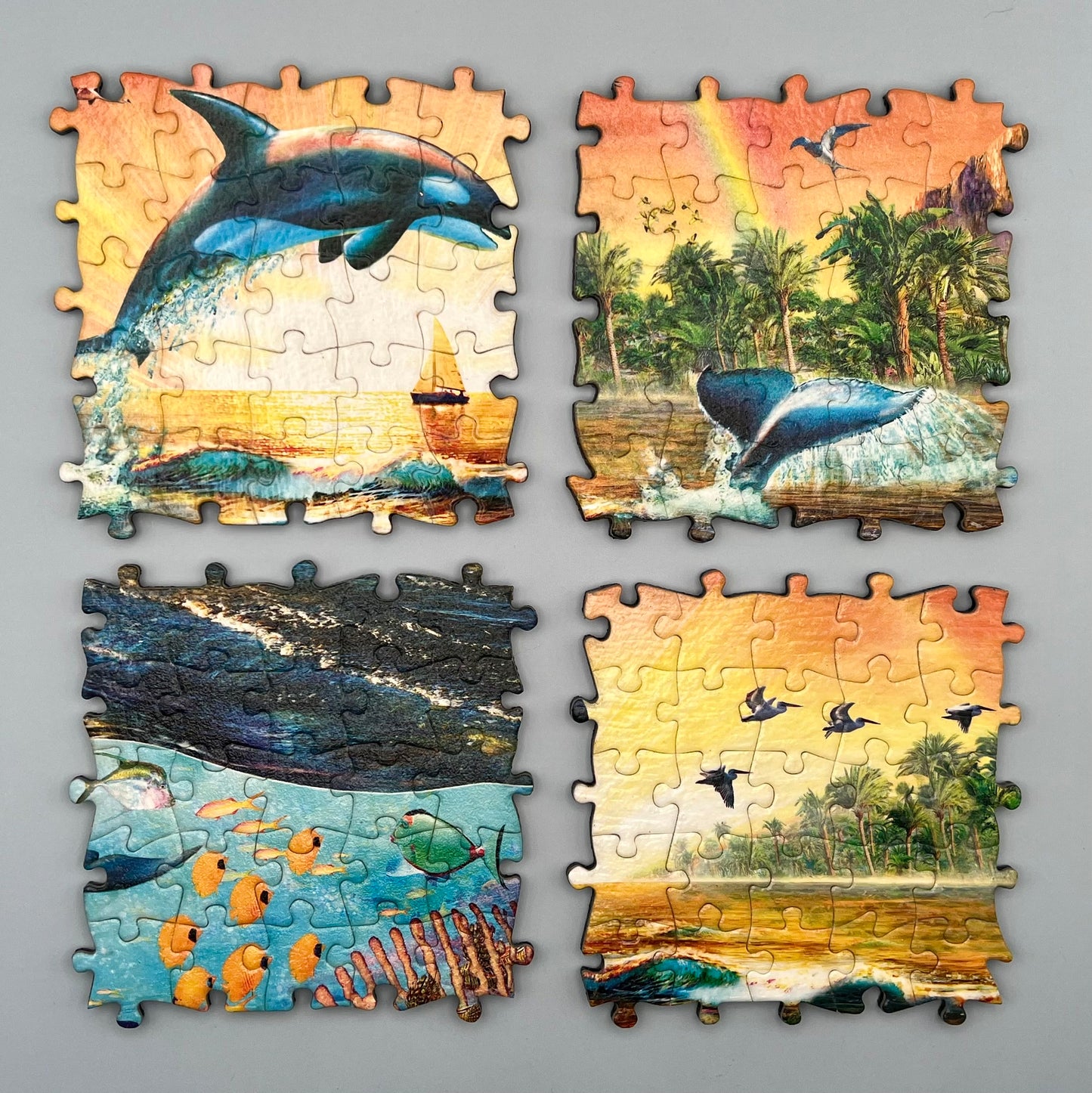 Amazing Nature Tropical Paradise - Dolphin Set